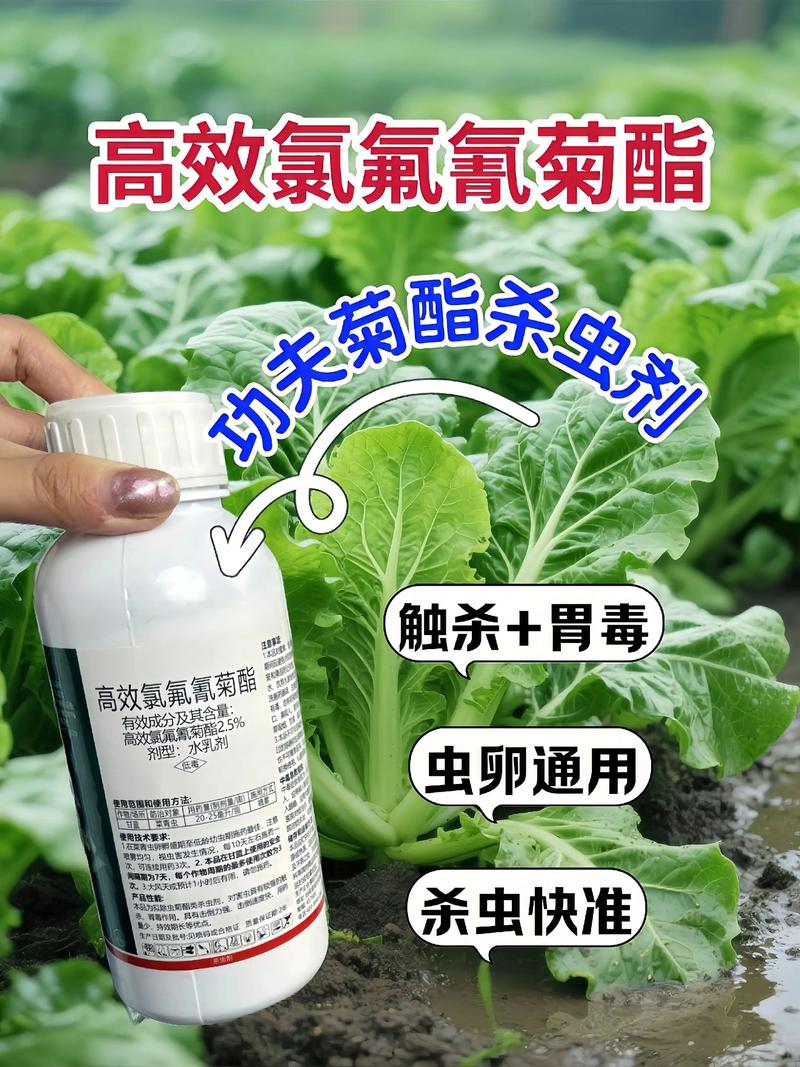 丰满代生中心:农药对供卵代生妈妈的危害