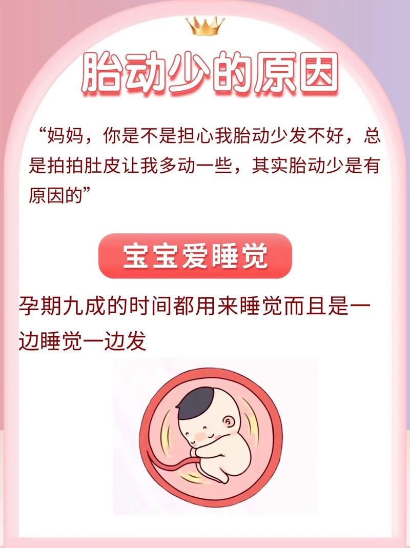 丰满借卵代怀:宝宝胎动少怎么回事